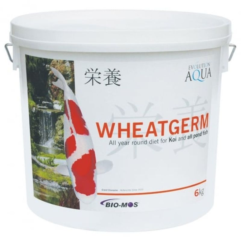 WHEATGERM 2000G (5-6MM/MEDIUM)