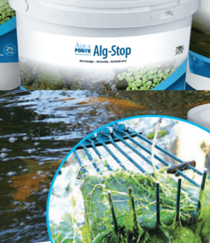 Hovedbilde BEHANDLING ALGER