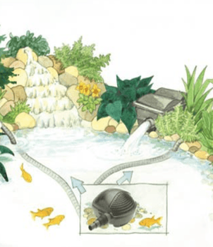 Hovedbilde BUDSJETT PUMPER