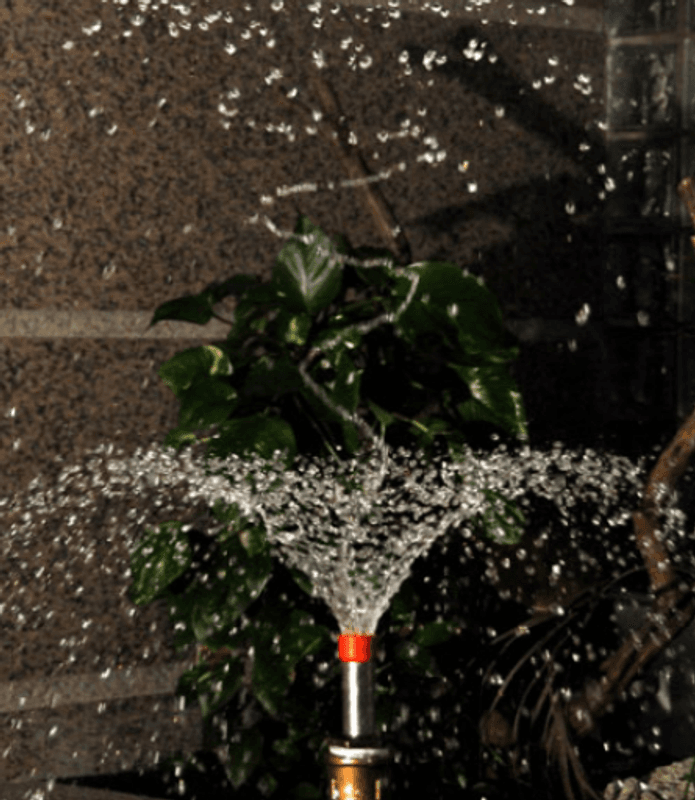 Hibiscus | Fontenedyse