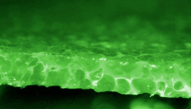 Filtermedie | ECO Pondchip