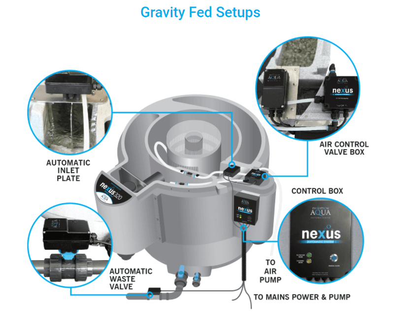 Nexus Automatic System | Gravity Set Up (200 body)
