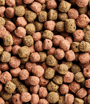 Hovedbilde KOIFÔR/FISKEFÔR