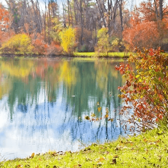 Huvudbild Dampakke 8000L | Alt du Trenger til Hagedam 